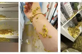 注意！这四种东西放冰箱，可能会“爆”图片