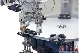 金融活水润泽“科创雨林”图片