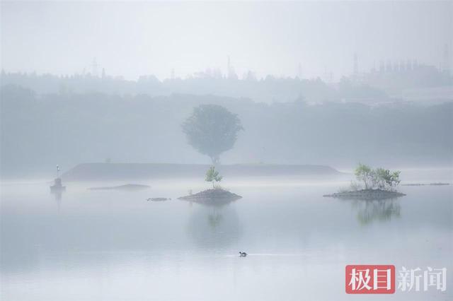 晨雾拥湿地，丹江口沧浪洲湿地公园上演“仙境大片”