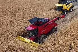 中国粮食安全“压舱石”省份实现“二十一连丰” 粮食产量首次突破1600亿斤图片