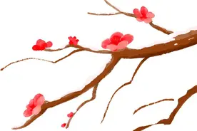 中药月月谈 | 牛蒡子图片