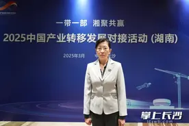 产业转移院士专家谈｜蒋艳：立足两个优势，精准有序承接产业转移图片