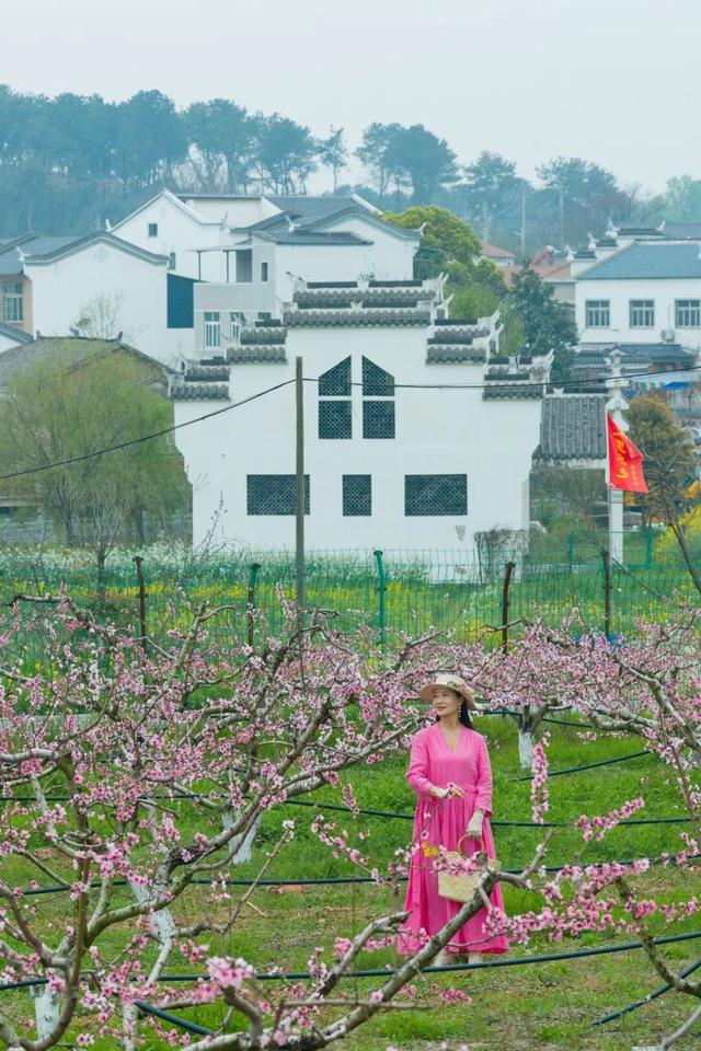 清明去哪玩？来黄陂 “榨" 出一整个春天！