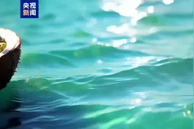 聊会·博鳌观潮丨观千年渔村 看现代海港 聊未来生活视频封面