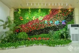 德宏芒市国际机场精心打造独具特色的绿美机场图片