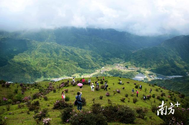 浮山岭上踏歌行！茂名重阳登高邂逅城乡新图景
