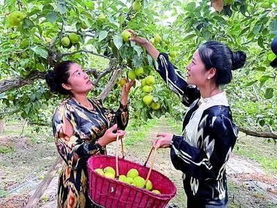 在新疆，一路风景一路歌