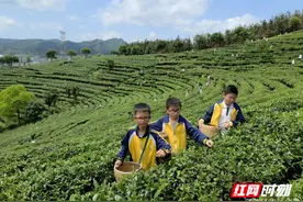 怀化英才学校2023年春季研学活动精彩纷呈图片