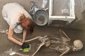 DNA证据改写庞贝古城“故事”图片