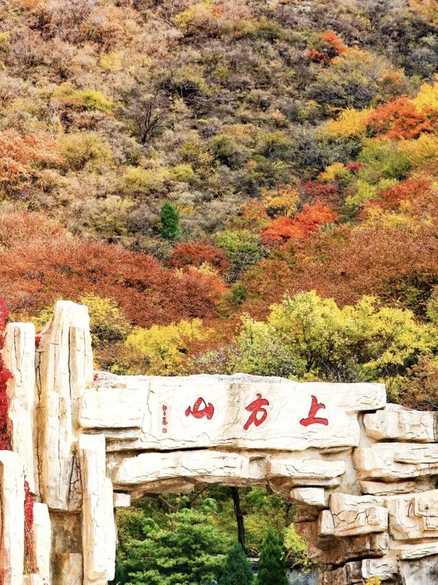 五彩斑斓！北京“漫山红叶”进最佳观赏期!