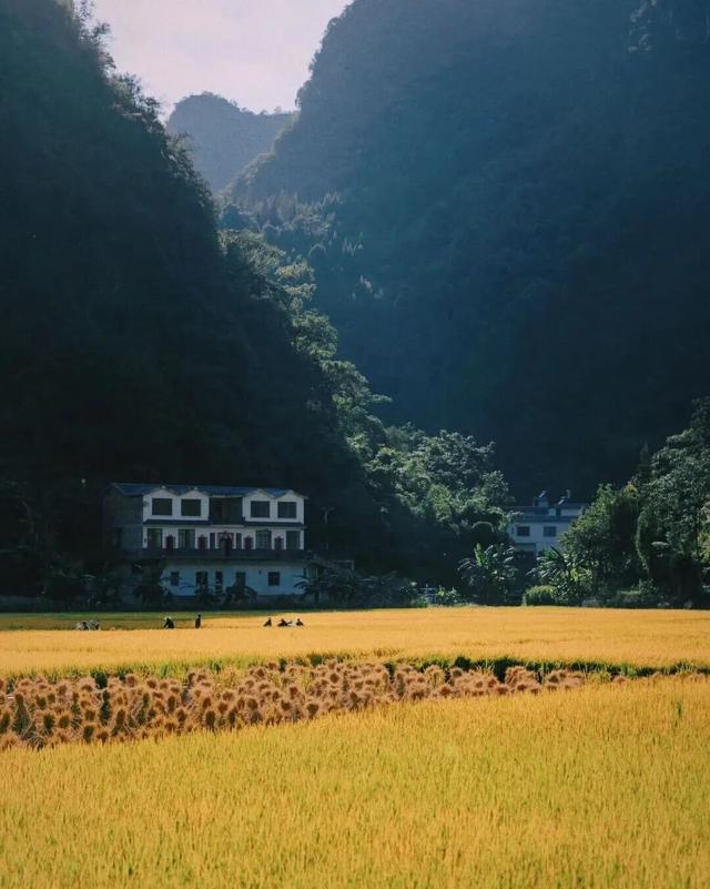 一眼沦陷！来贵州寻找秋天的仪式感，美到想直接搬进这幅“画”里！