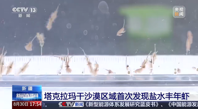 最新！微信重大更新！
