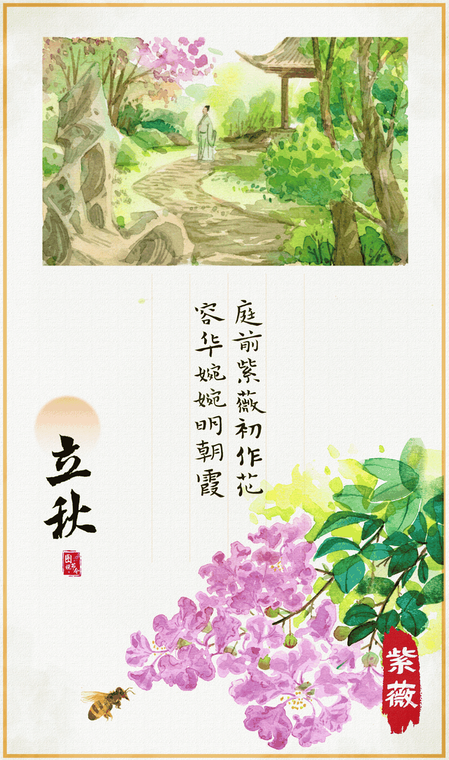 立秋时节读懂草木的“节气时钟”