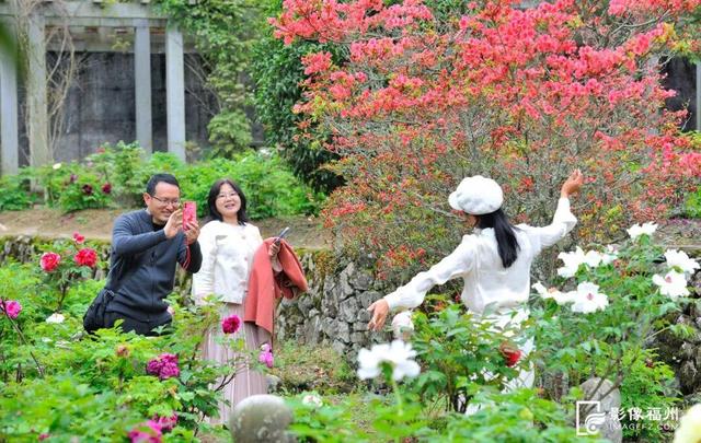 姹紫嫣红！福州进入春日高颜值时刻！