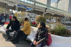 打造城市“微缩山林”！静安这个地铁站口大变样！你注意到了吗？图片