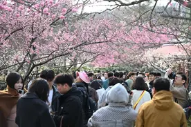 青岛市南区赏花经济打造沉浸式旅游新体验图片