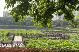 高考前，新一轮“龙舟水”将发货，南宁或迎大雨、暴雨！最新预报→图片