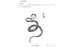 朱士林｜蛇年趣说蛇文化图片