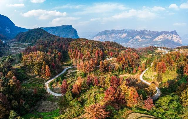 天门村：枫红云海间的千年一瞥