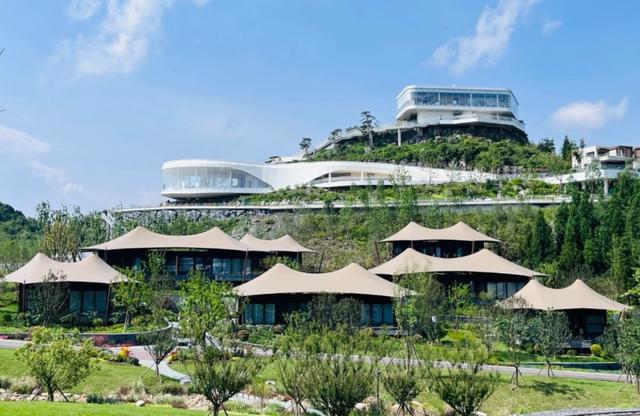 从“杜鹃花海”到“四季常青” 毕节破解“季节限定”难题