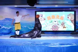 跟着热点去旅行！广东“考后游”“夜游+”火了图片