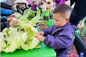 亲子版“向往的生活” 乐山市中区茅桥幼儿园开展野炊活动图片
