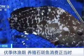 低脂肪、高蛋白 备受消费者喜爱的它便宜了图片