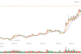海量财经 | 直冲700元/股！谁在拉高寒武纪的市值？图片