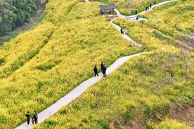 春日有花！一起去看城市温度的可视化表达图片