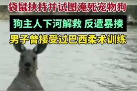 澳大利亚一袋鼠挟持并试图淹死宠物狗，狗主人下河解救 反遭暴揍图片