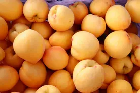 香、脆、甜！独山的黄桃上市啦图片