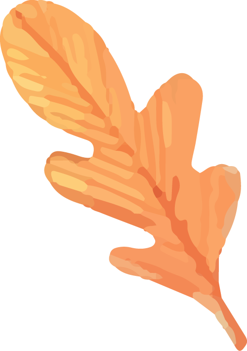 这还说啥了，湛江的隐藏玩法送你了