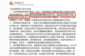 高铁降速停运，为什么绿皮车还能“冒雪前行”？网友：再也不嘲笑绿皮慢了，是我年少不懂事图片