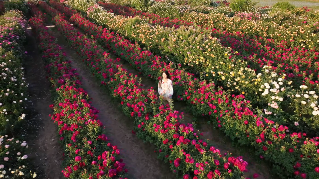 网络中国节·清明丨清明出游不扎堆！云南这些人少景美的宝藏小城别错过