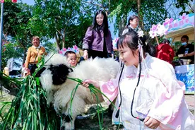 厦门翔安九溪“十里桃源”文旅活动邀您共赴春日之约图片