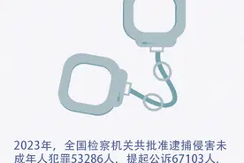 9张图，速览《未成年人检察工作白皮书（2023）》图片