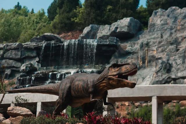 就在达州耍秋假！多个景区官宣：免票、半价