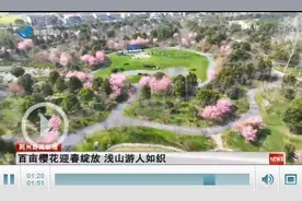 百亩樱花迎春绽放 浅山森林美术园游人如织图片