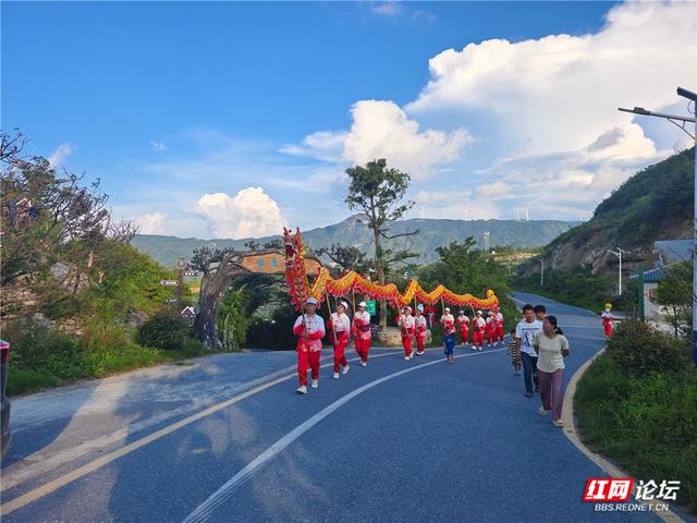 高清湖南丨花海与云海，隆回龙瑶幽谷的双重浪漫