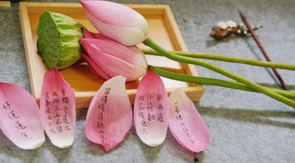 逛集、赏荷、徒步……来梯面玩转夏日~