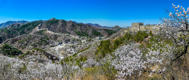 北京春天“最壮观的花海”上线！