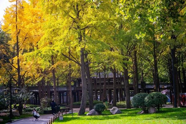 秋风引路入曲江，芙蓉金叶映红墙