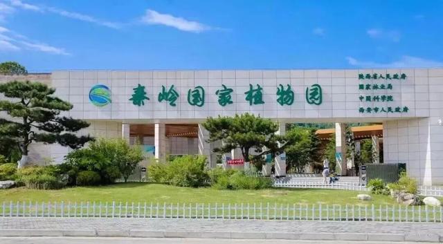 AU喂！被西安“拿捏”了！
