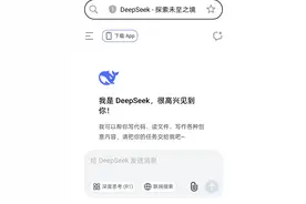 ai.com直接跳转！DeepSeek获顶级域名认可图片