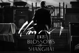 “宝总”生日快乐！胡歌献唱《偷心》，王家卫执导MV视频封面