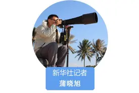 我在现场·照片背后的故事丨听时间呼啸 赴一场心灵之约图片