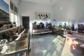 怪事！龙洞珠泉变小了图片