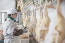 好品山东|占领全国七成市场，源自法国的这道菜如何与临朐结缘？图片
