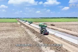 江苏洪泽：生态循环高标准农田为乡村振兴注入新动能图片