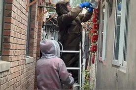 不主动攻击，但毒性极强！马蜂为啥青睐居民区筑巢？图片